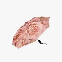 rosebrella2.webp