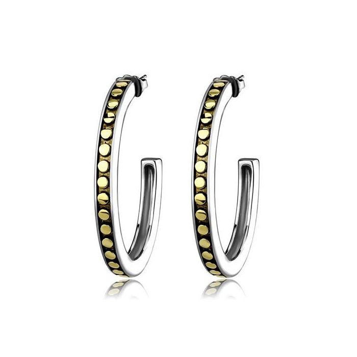 Two-Tone IP Gold (Ion Plating) Stainless Steel Earrings with Epoxy in Jet